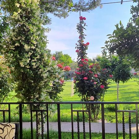 Room With Private Garden Shkoder Bagian luar foto