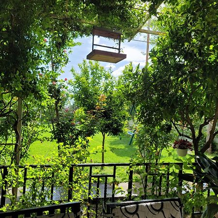 Room With Private Garden Shkoder Bagian luar foto