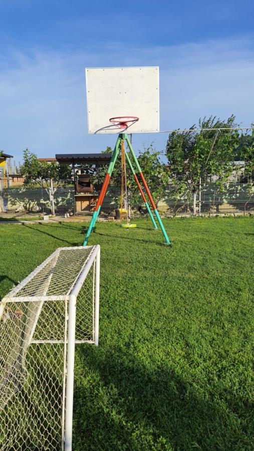 Room With Private Garden Shkoder Bagian luar foto