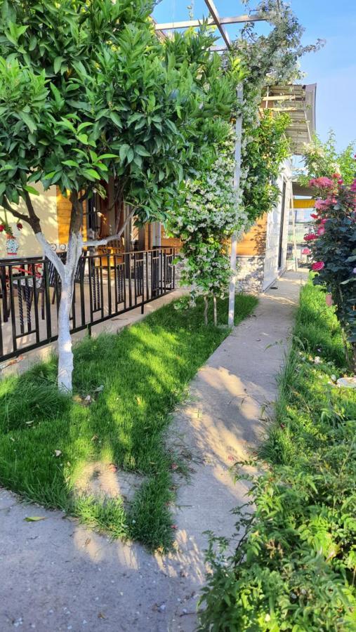 Room With Private Garden Shkoder Bagian luar foto