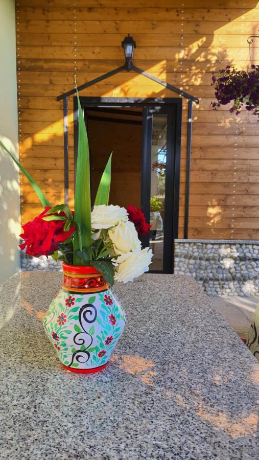 Room With Private Garden Shkoder Bagian luar foto