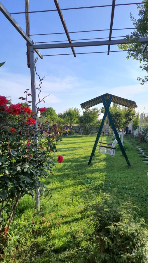Room With Private Garden Shkoder Bagian luar foto