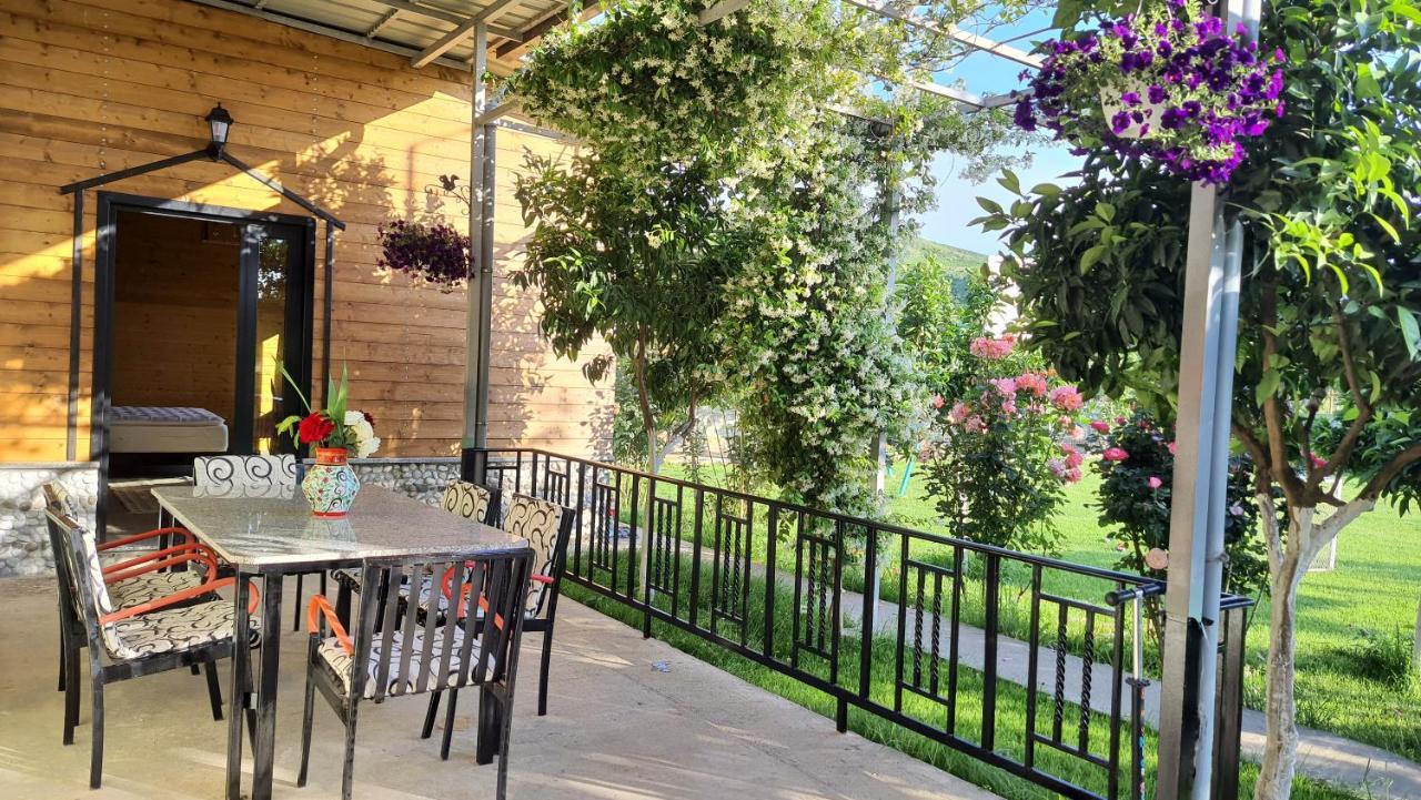 Room With Private Garden Shkoder Bagian luar foto