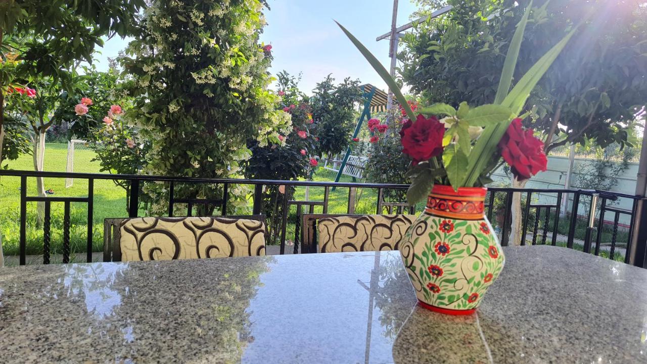 Room With Private Garden Shkoder Bagian luar foto