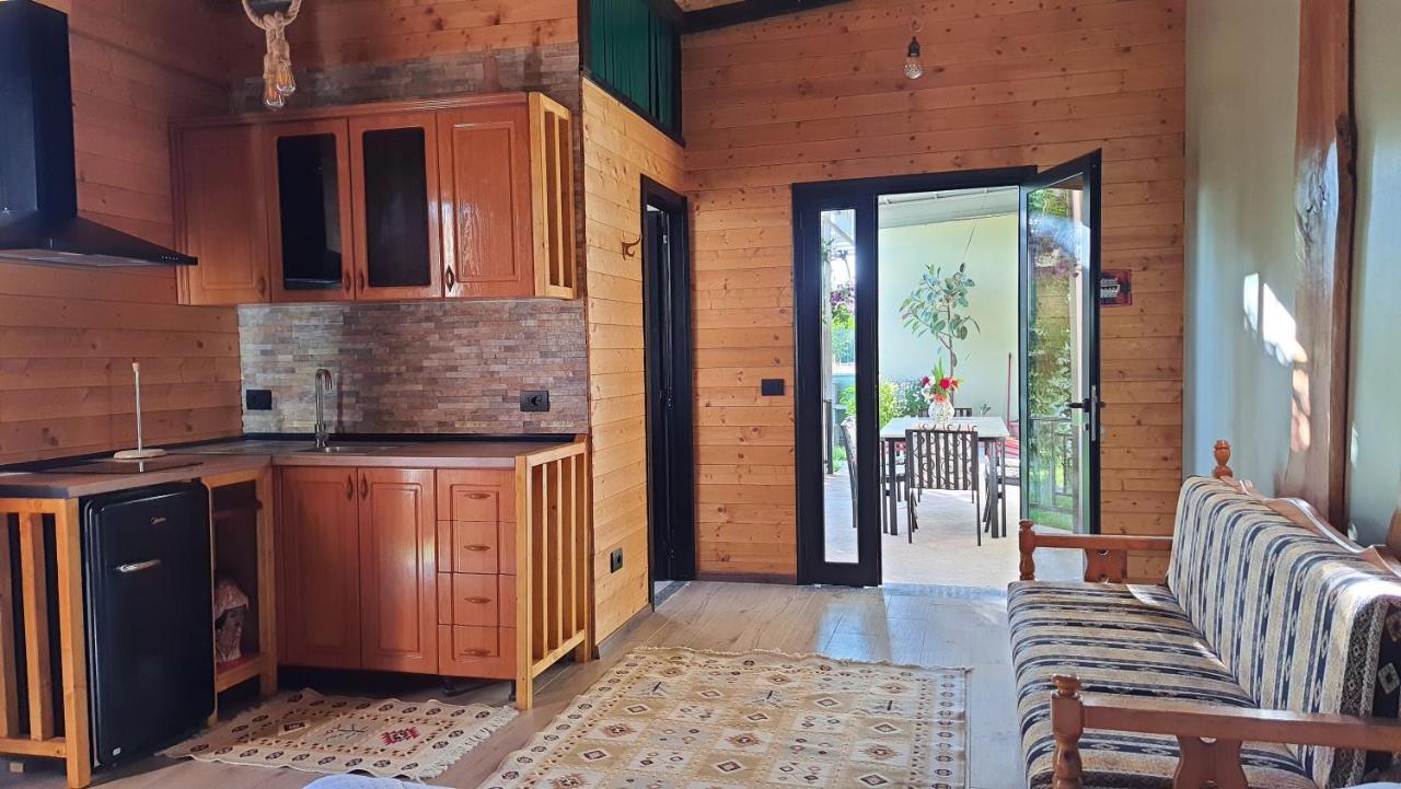 Room With Private Garden Shkoder Bagian luar foto
