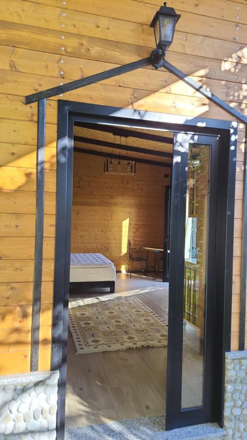 Room With Private Garden Shkoder Bagian luar foto