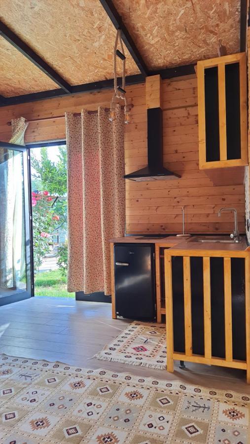 Room With Private Garden Shkoder Bagian luar foto