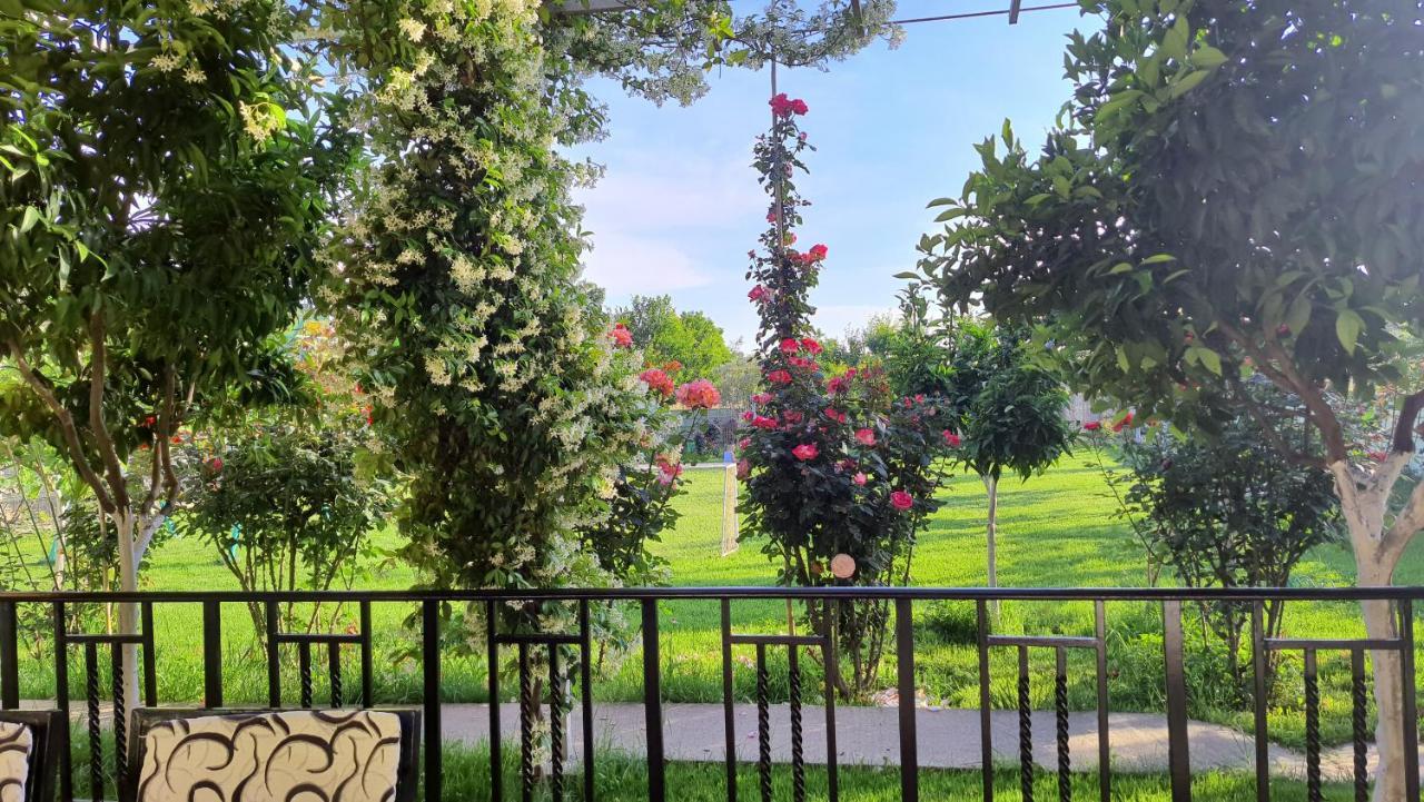 Room With Private Garden Shkoder Bagian luar foto