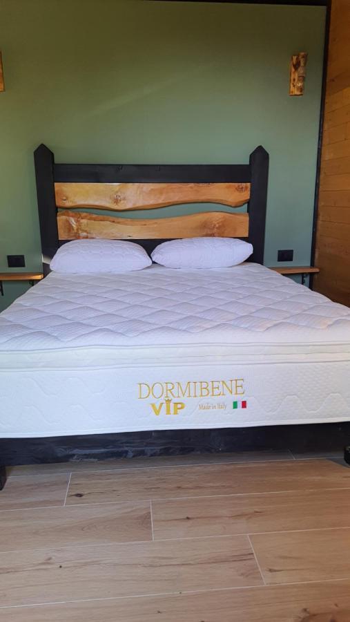 Room With Private Garden Shkoder Bagian luar foto