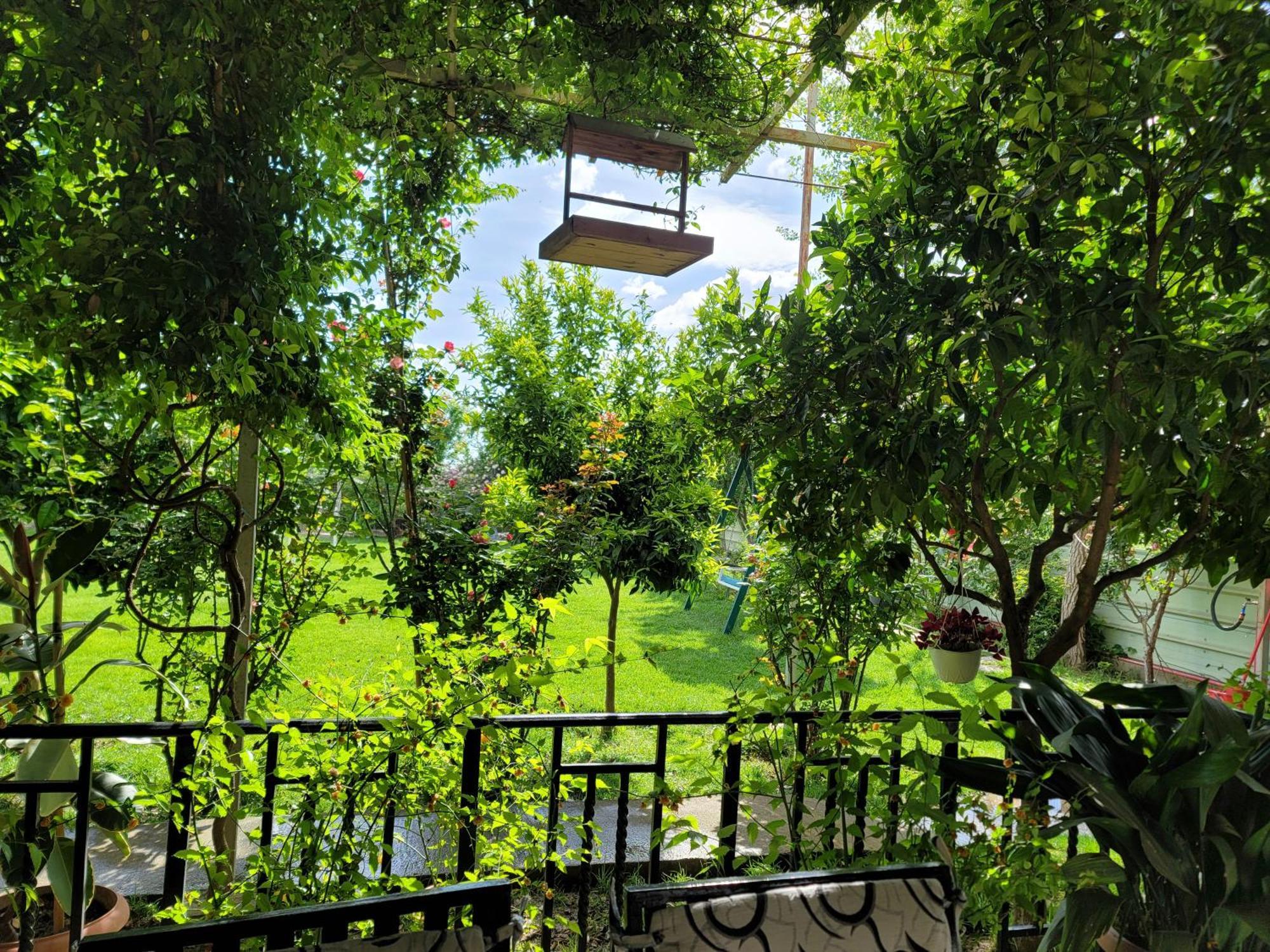 Room With Private Garden Shkoder Bagian luar foto